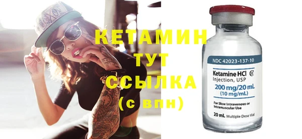 индика Гусь-Хрустальный