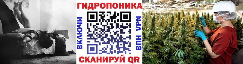 Каннабис планчик  купить   Нефтегорск 